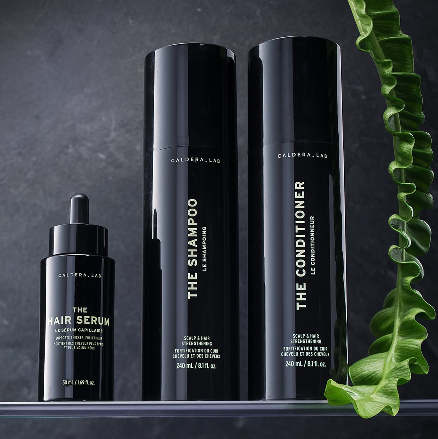 Caldera + Lab The Conditioner