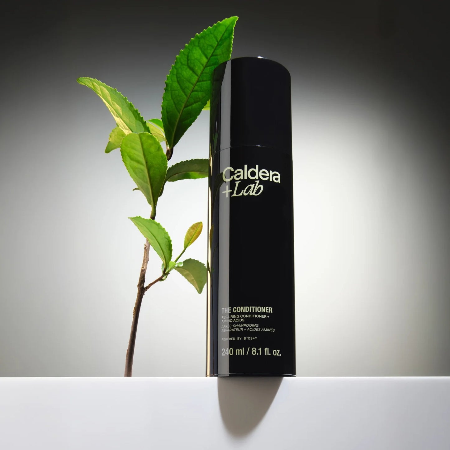 Caldera + Lab The Conditioner