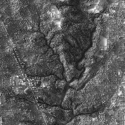 Washington D.C. Elevation Map