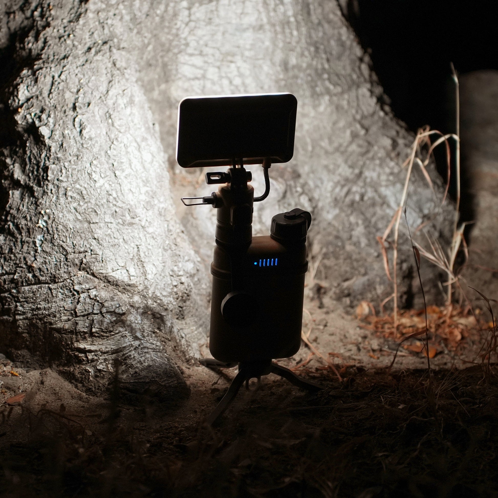 Nestout Flash-1 LED Light