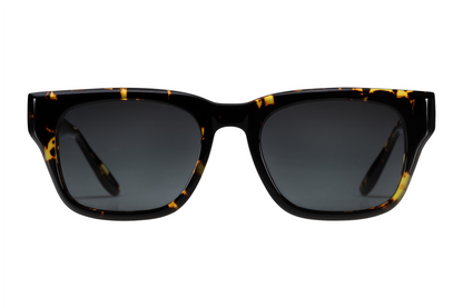 Barton Perreira Domino (55) x Teddy Vonranson
