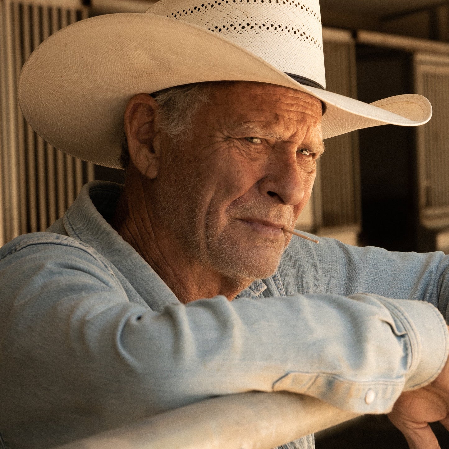 Lucky Original White Birch Toothpicks