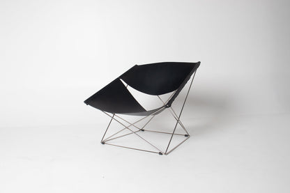 Pierre Paulin Butterfly Chair