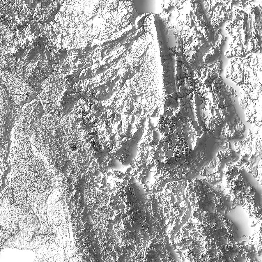 Florida Elevation Map