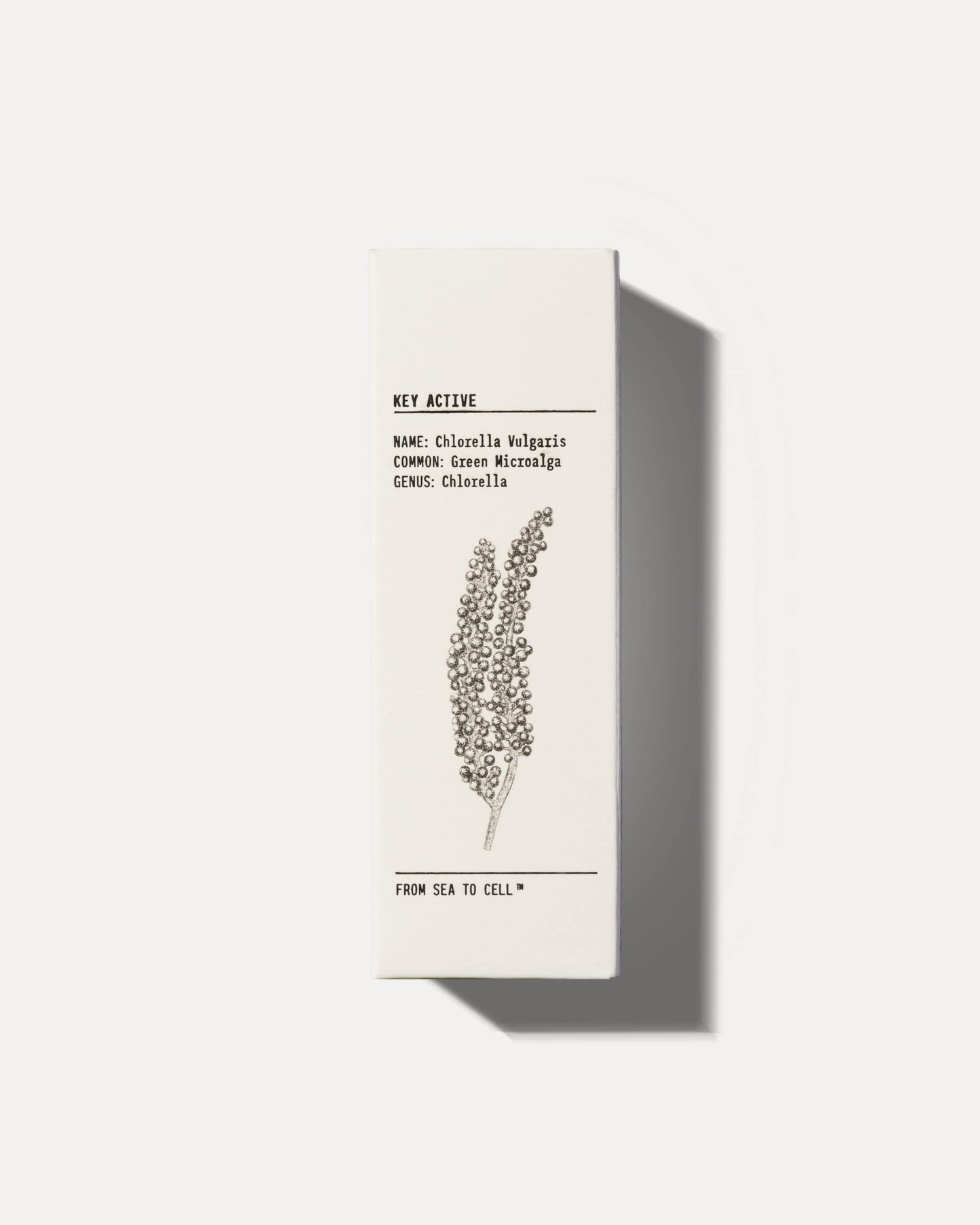 YCode Hydrating Face Serum