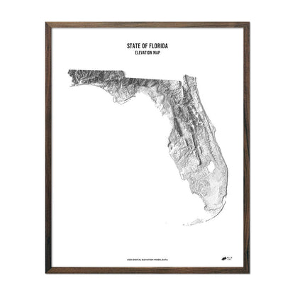 Florida Elevation Map