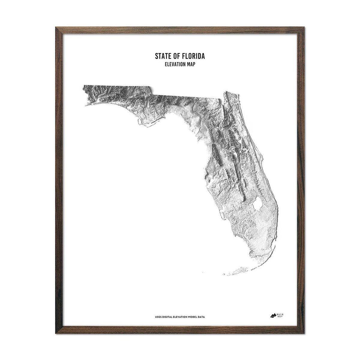 Florida Elevation Map Walnut
