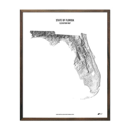Florida Elevation Map Walnut