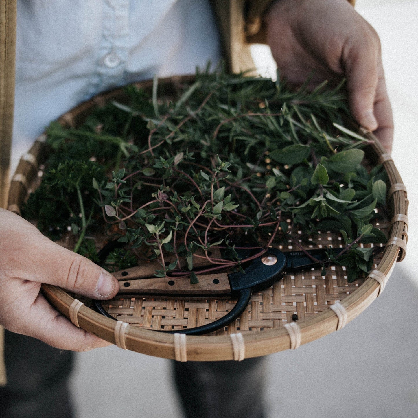 Barebones Garden Scissors