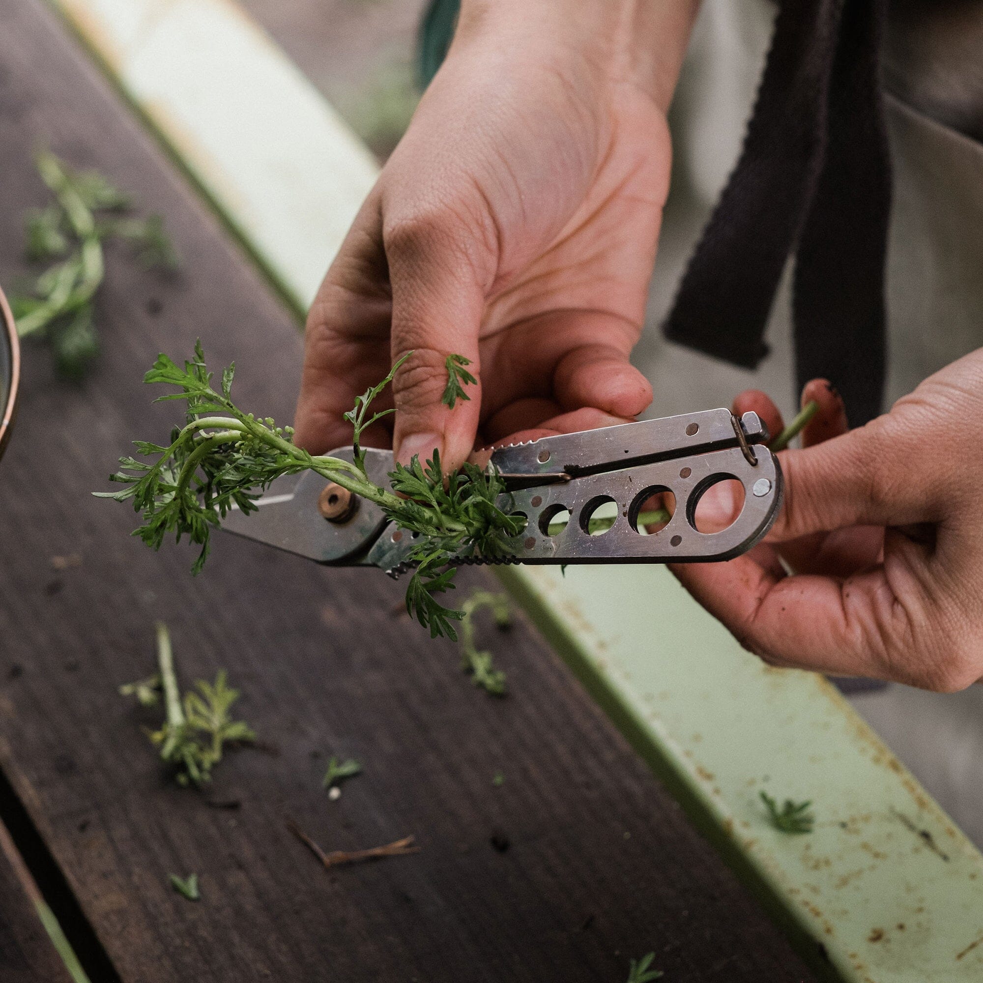 BareBones Herb Harvest and Strip Tool - Thumbnail 2