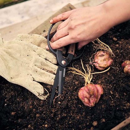 Barebones Garden Scissors