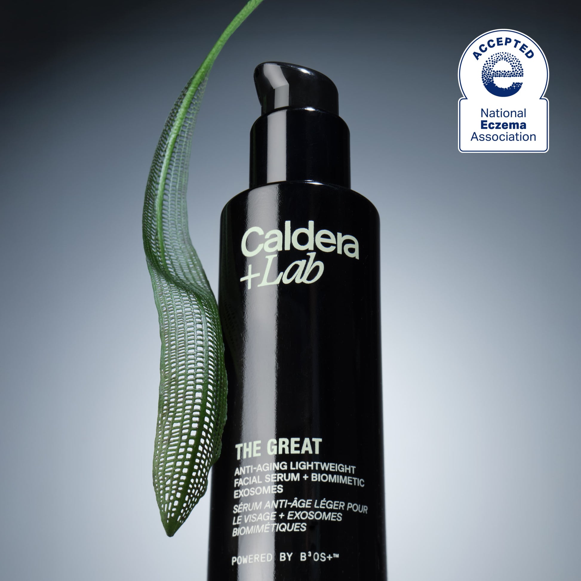 Caldera + Lab The Great Anti-Aging Serum