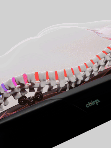 Chirp Contour Decompression and Massage Table
