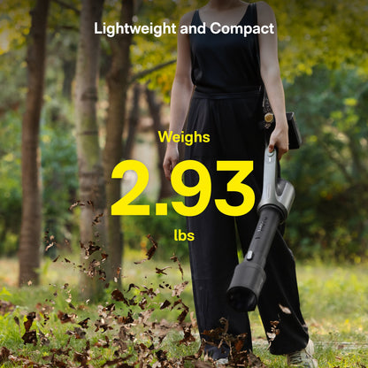 HOTO 20V Cordless Leaf Blower