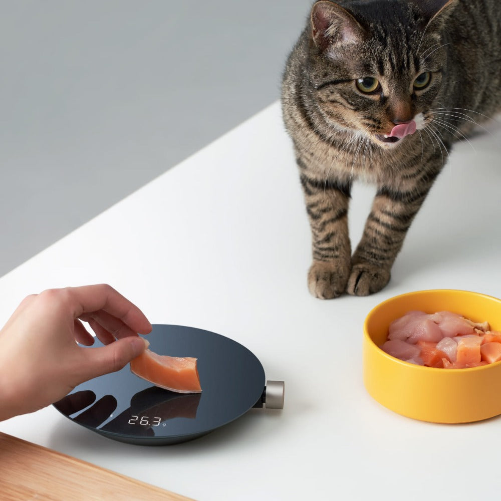HOTO Smart Food Scale - Thumbnail 5