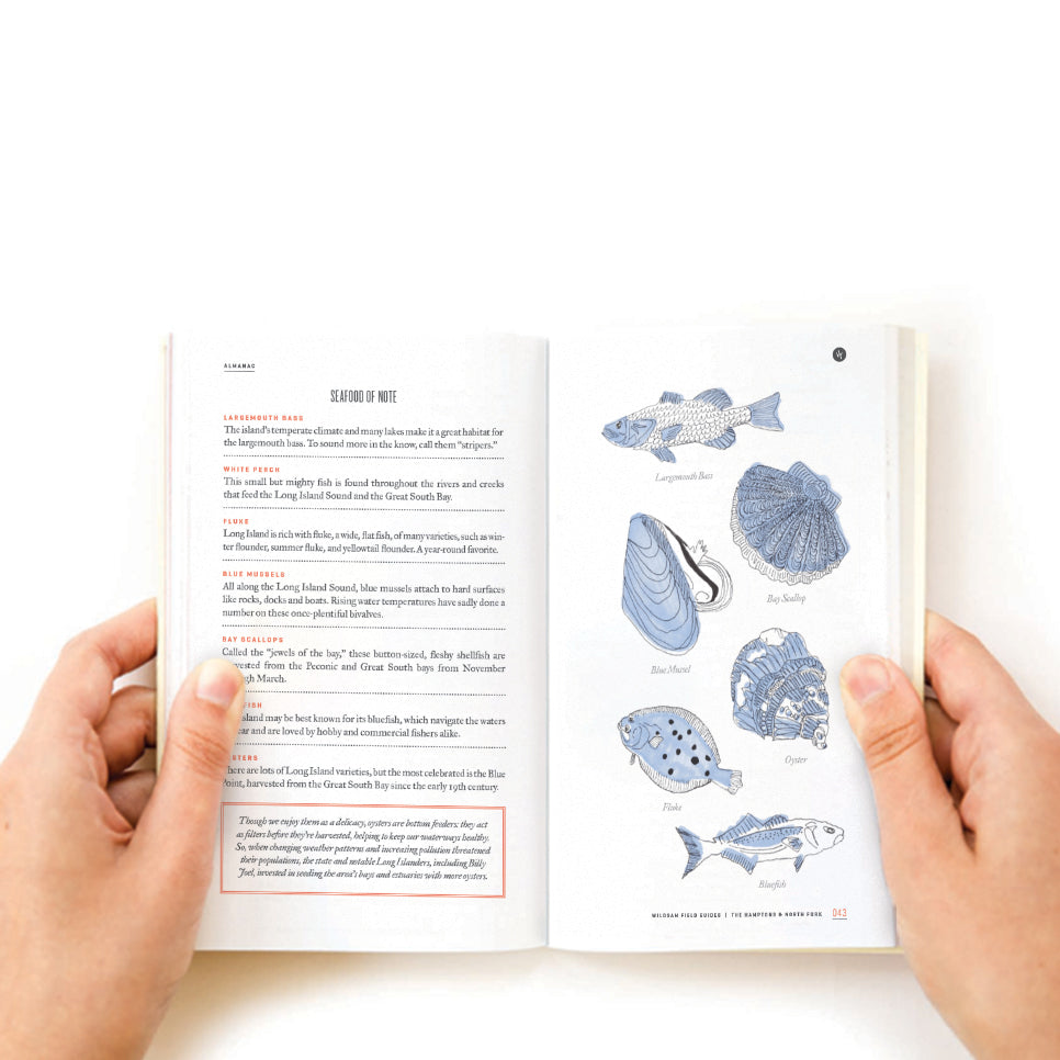 Wildsam HAMPTONS & NORTH FORK Field Guide