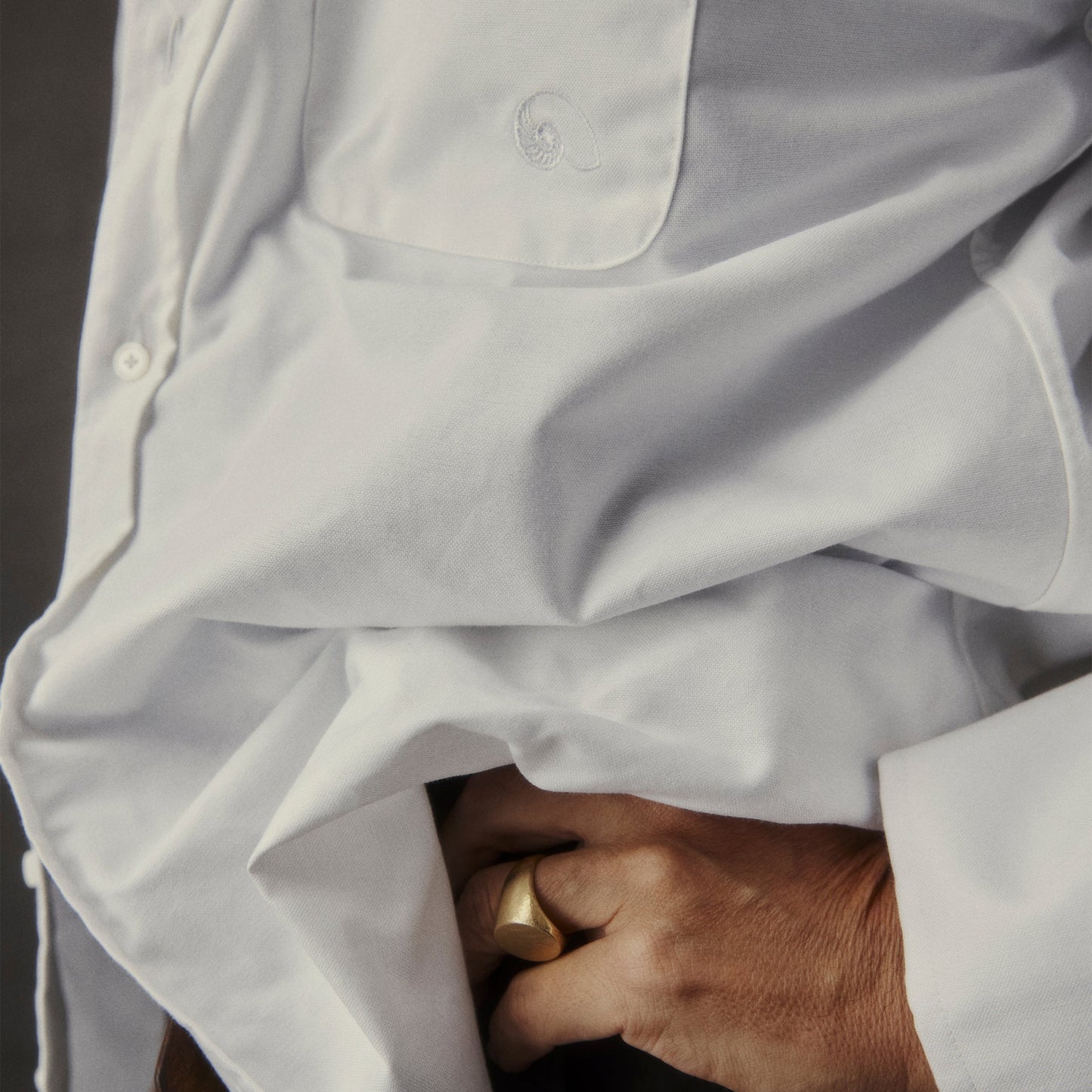AARON LEVINE OXFORD SHIRT