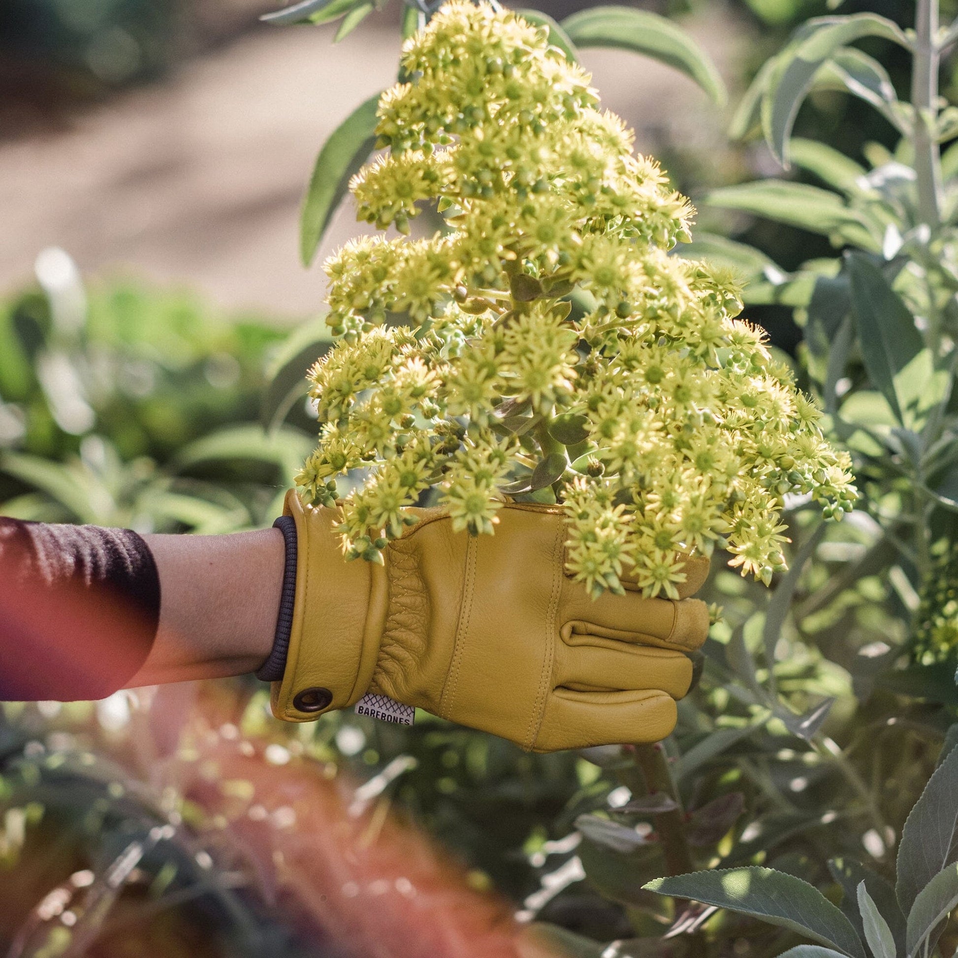 Barebones Kunar Utility Glove