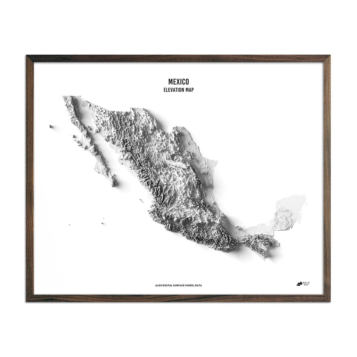 Mexico Elevation Map