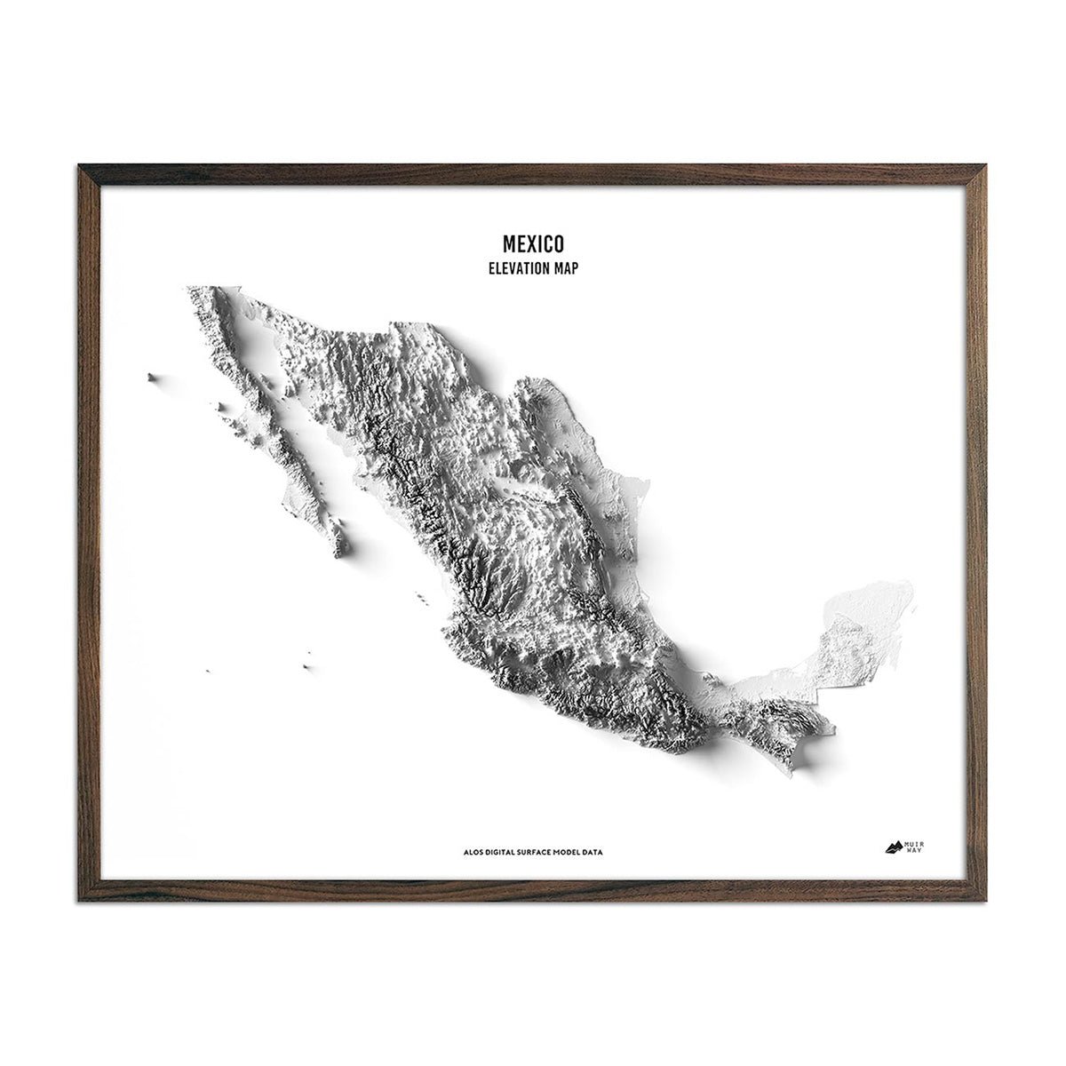 Mexico Elevation Map English Walnut