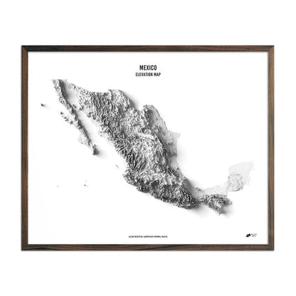Mexico Elevation Map English Walnut