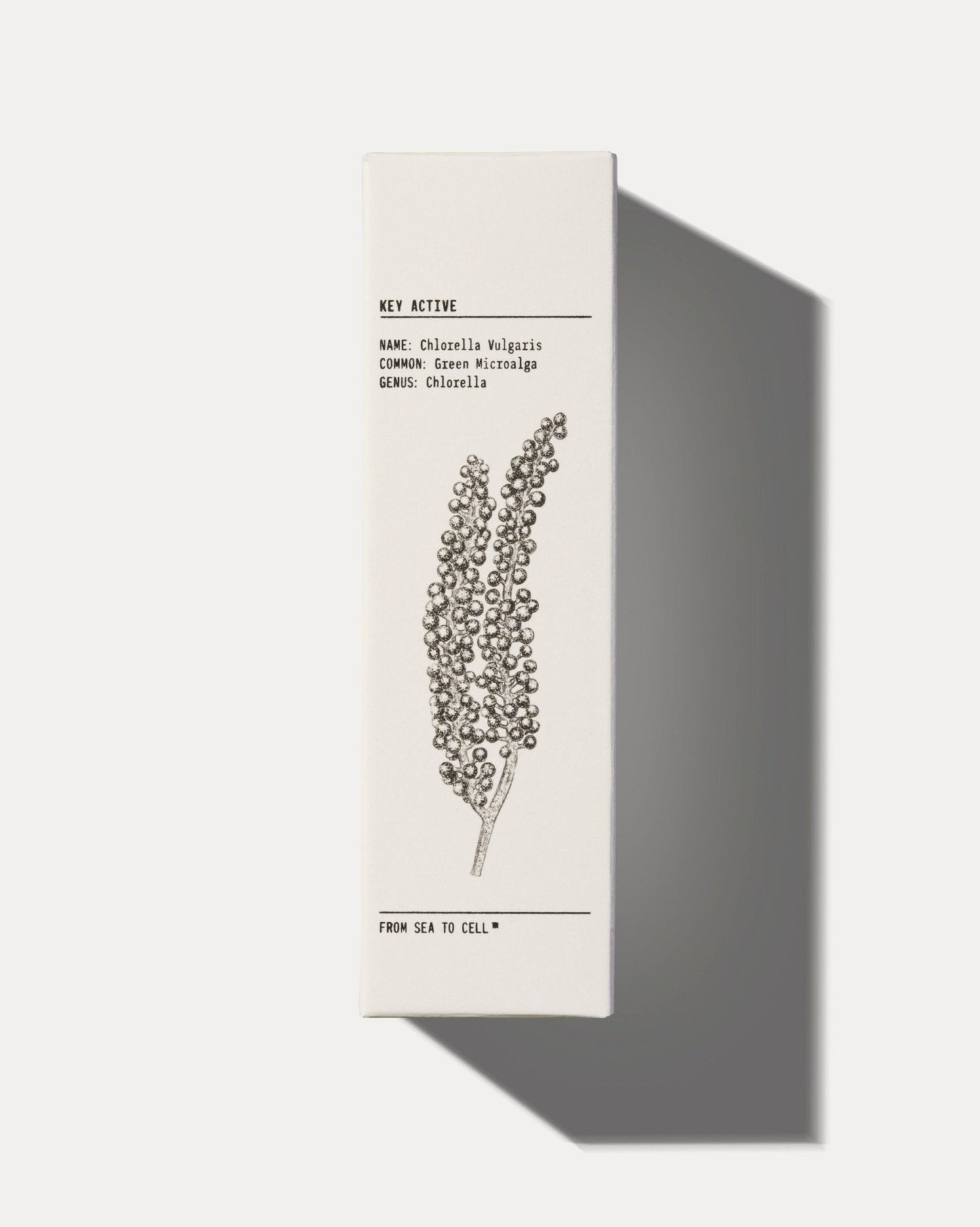 YCODE Mattifying Moisturizer