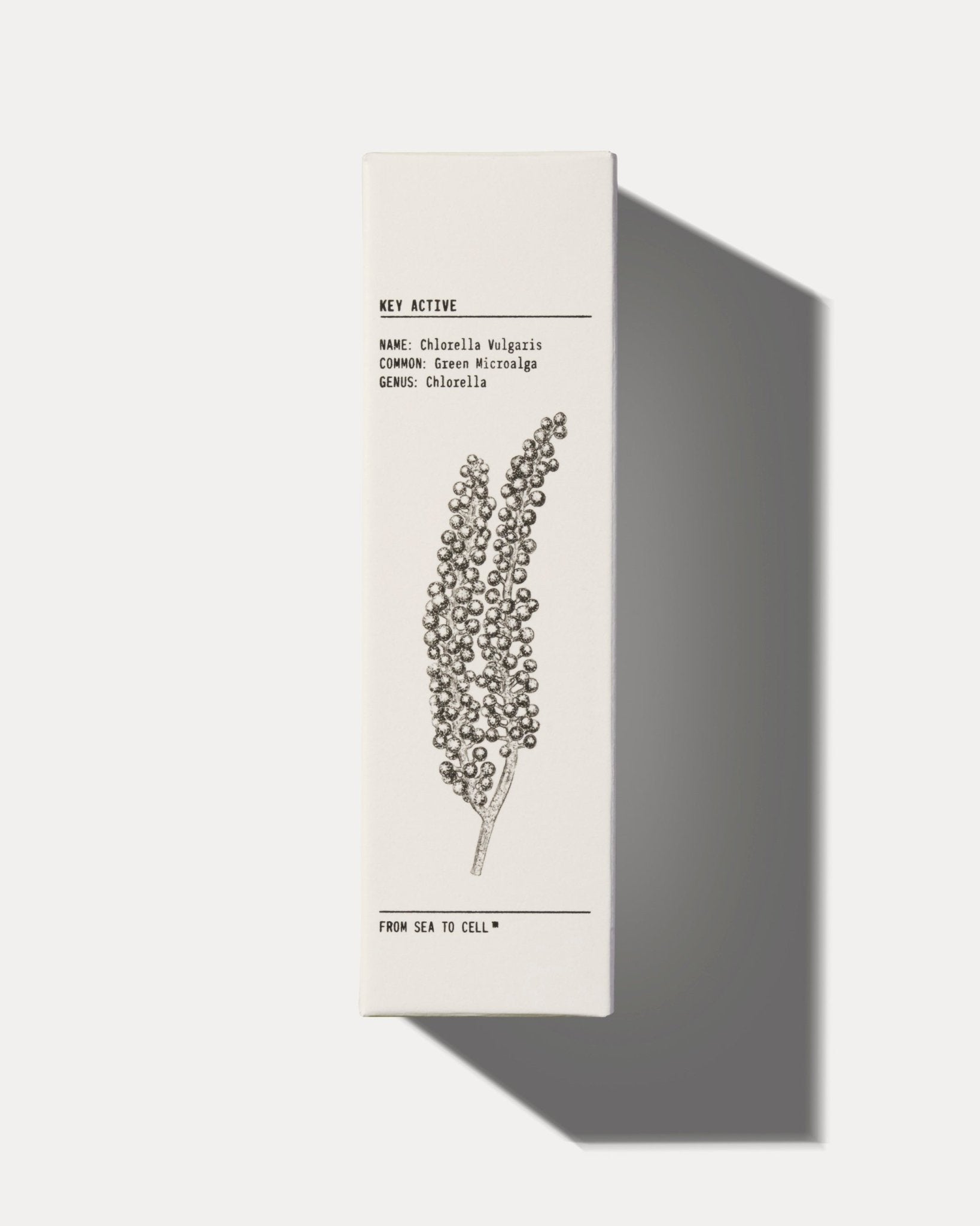 YCODE Mattifying Moisturizer