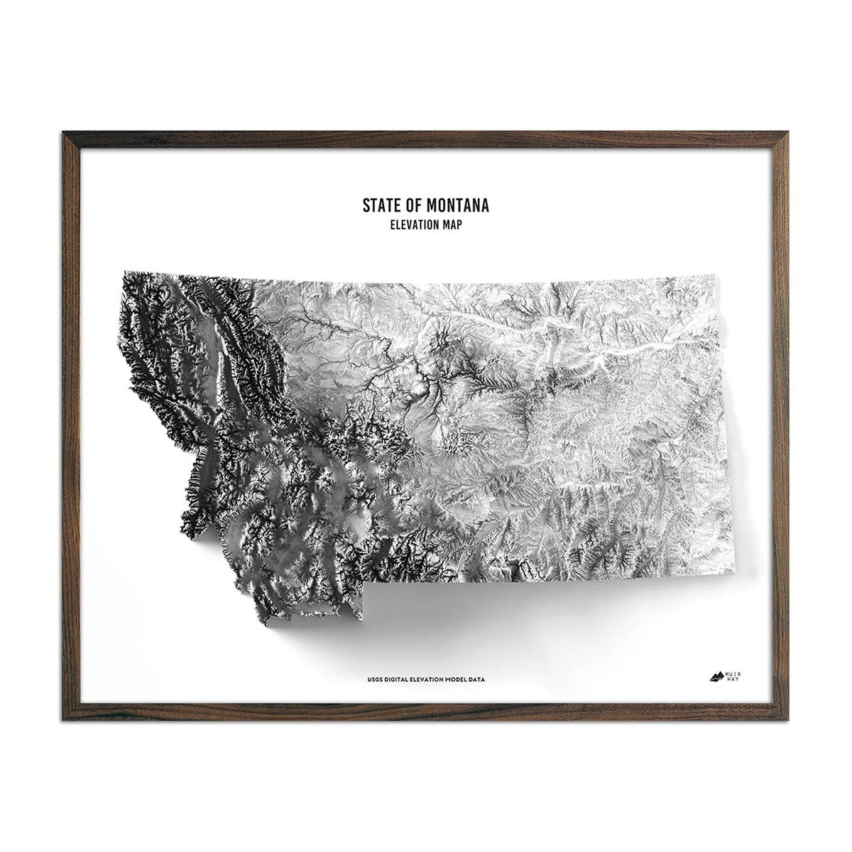 Montana Elevation Map Walnut