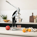 Verve Culture Citrus Juicer - Black