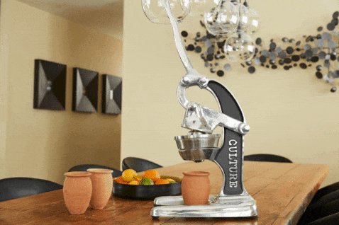 Verve Culture Citrus Juicer