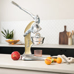 Verve Culture Citrus Juicer - Gold
