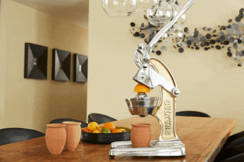 Verve Culture Citrus Juicer