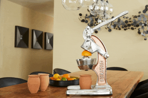 Verve Culture Citrus Juicer