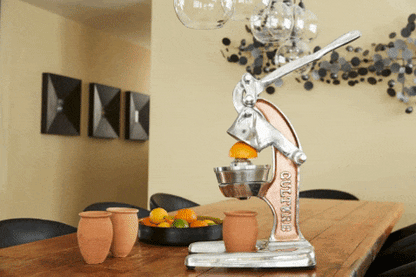 Verve Culture Citrus Juicer