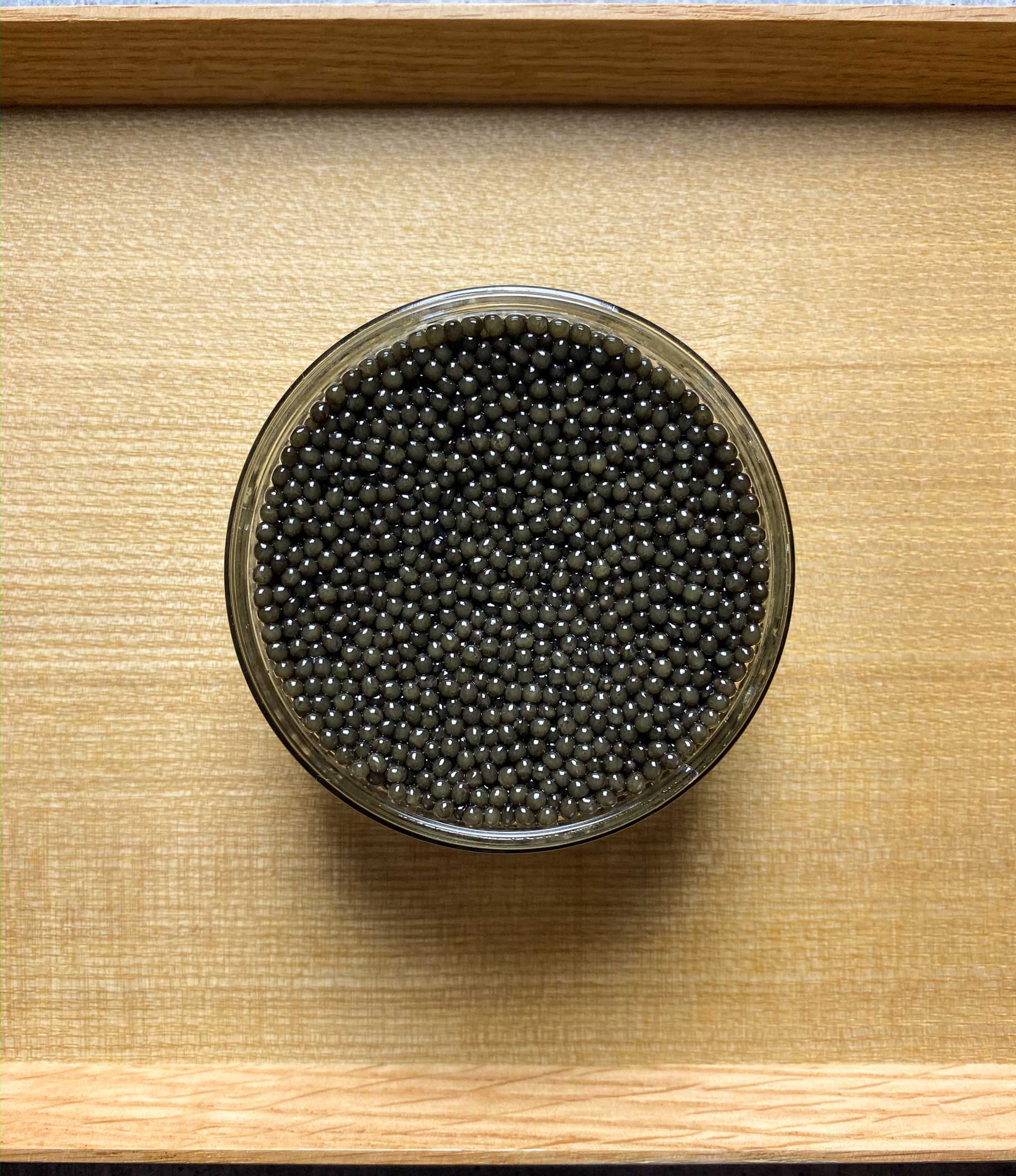 Regalis Platinum Osetra Caviar