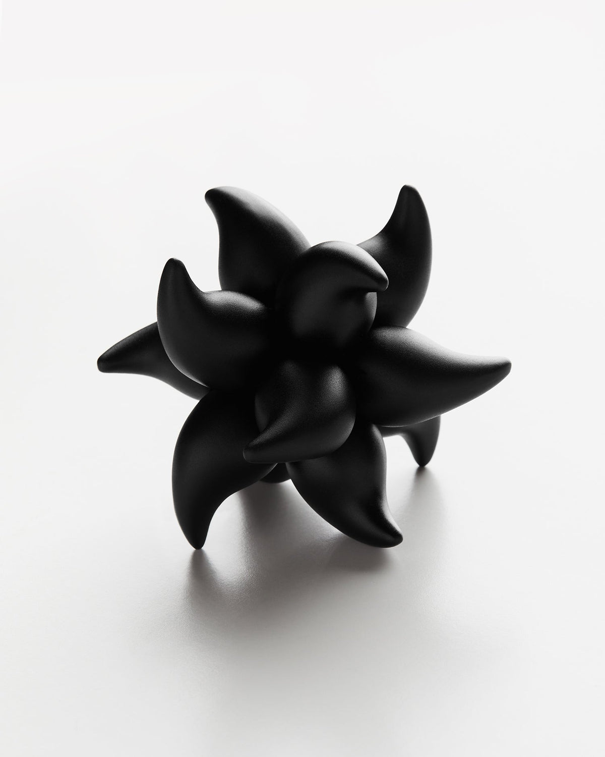 Craighill Andromeda Puzzle