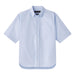 AARON LEVINE SHORT SLEEVE OXFORD SHIRT - BLUE