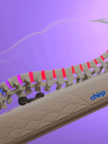 Chirp Contour Decompression and Massage Table