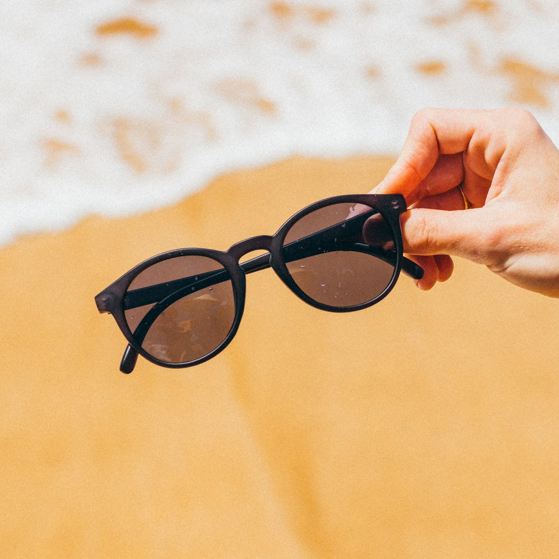 SUNSKI Dipsea Sunglasses