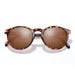 SUNSKI Dipsea Sunglasses - Tortoise Amber
