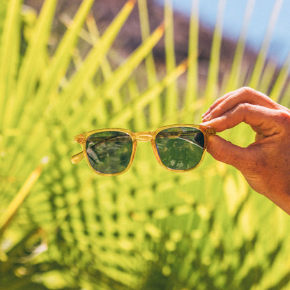 Sunski Tango Sunglasses