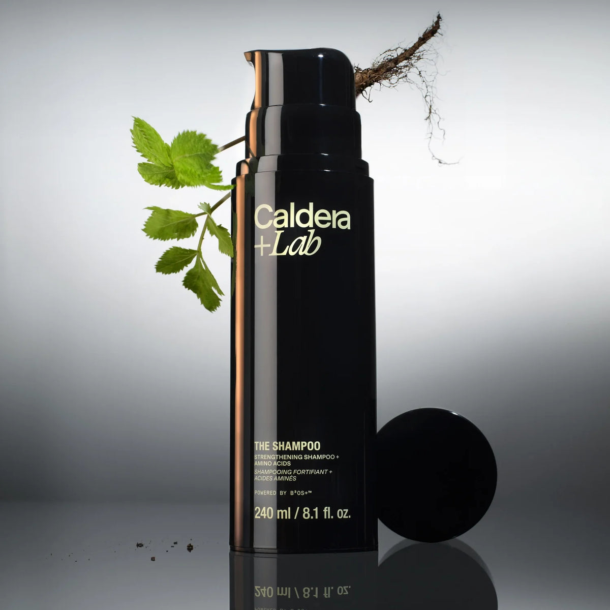 Caldera + Lab The Shampoo