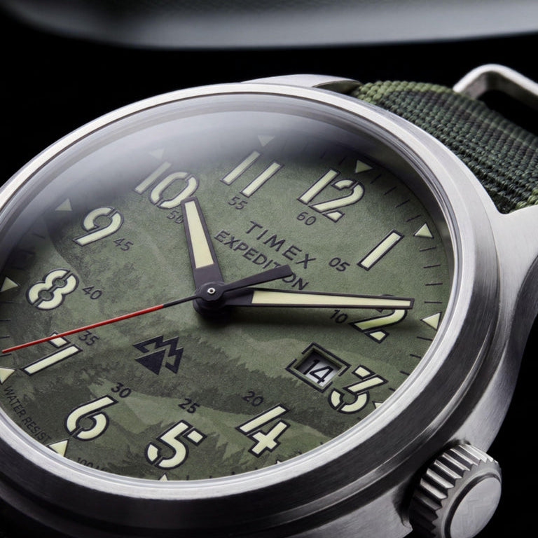 Timex Expedition Sierra Field Watch