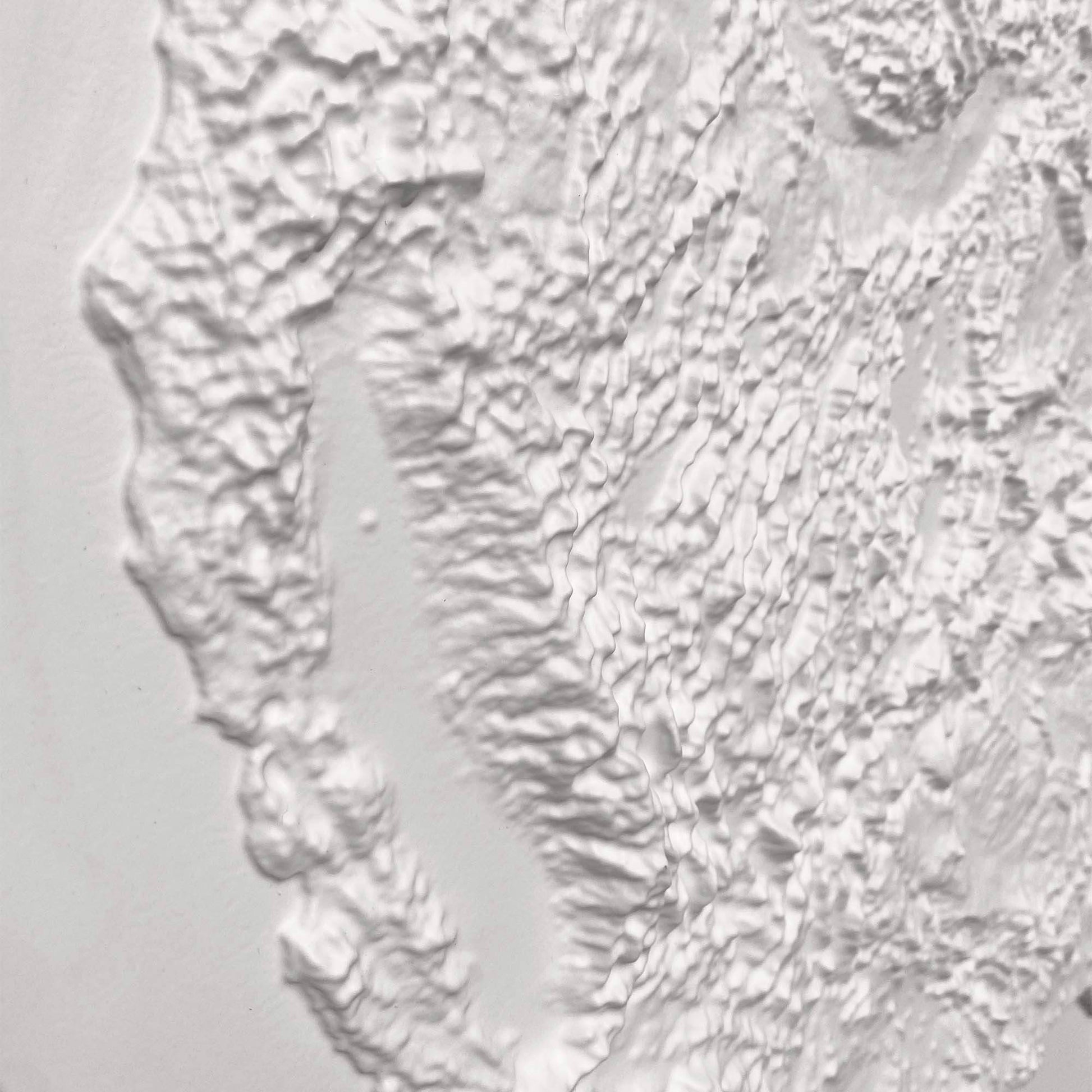 USA 3D Raised Relief Map