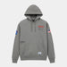 ALPHA INDUSTRIES NASA WORM LOGO HOODIE - MID GRAY
