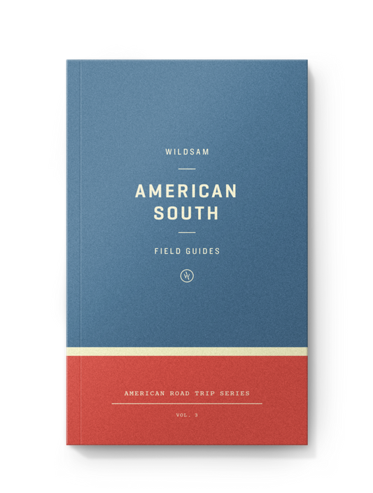 American South