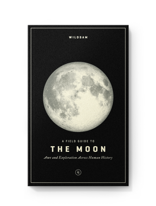 The Moon