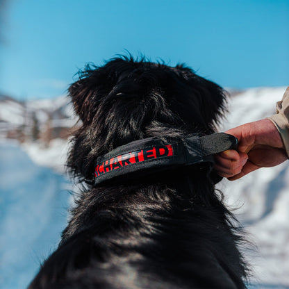 Uncharted Supply The Wolf Pack First Aid Dog Collar