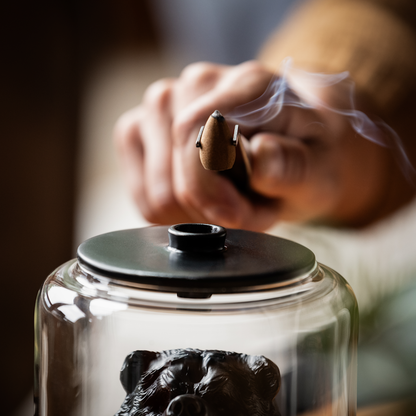 Backflow Incense Burner Bundle