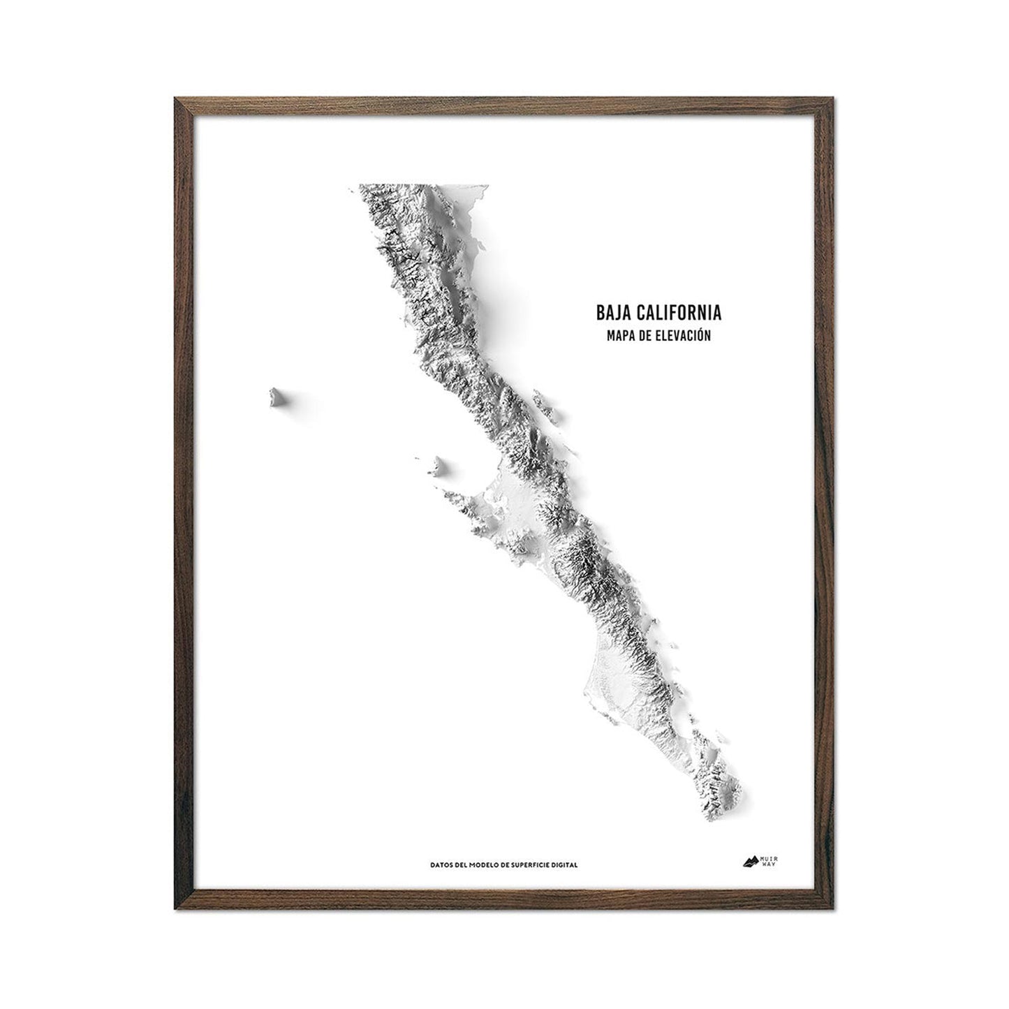 Baja California Elevation Map